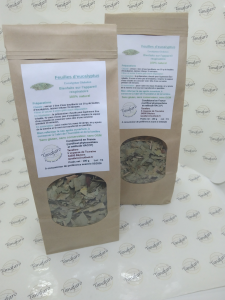 Eucalyptus Tisane